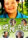 胖婶进城